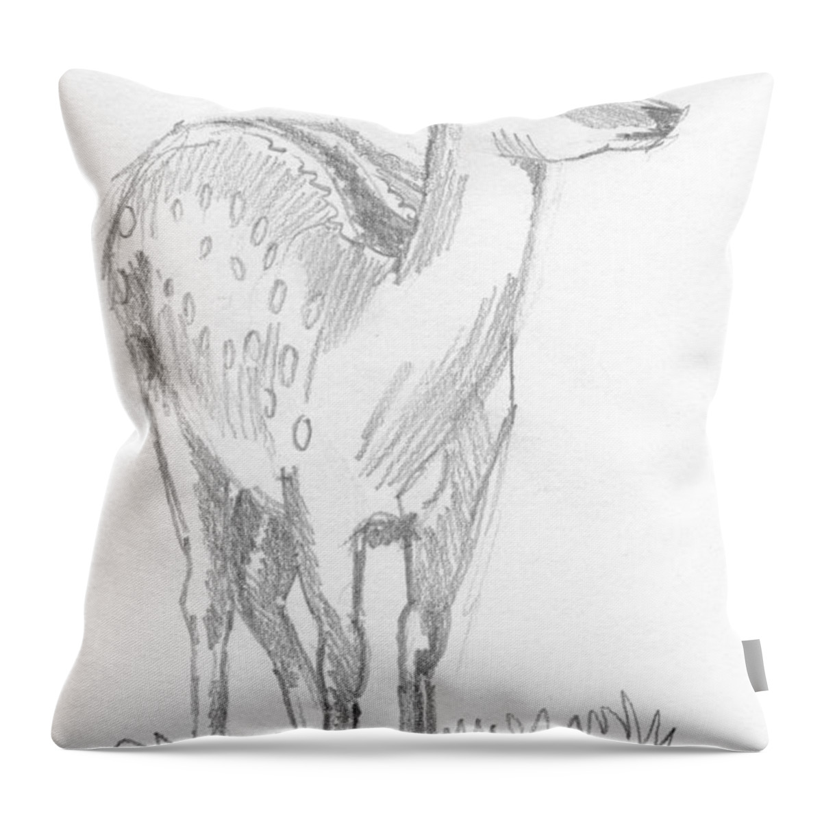Deer Throw Pillow featuring the drawing Deer Drawing #3 by Mike Jory