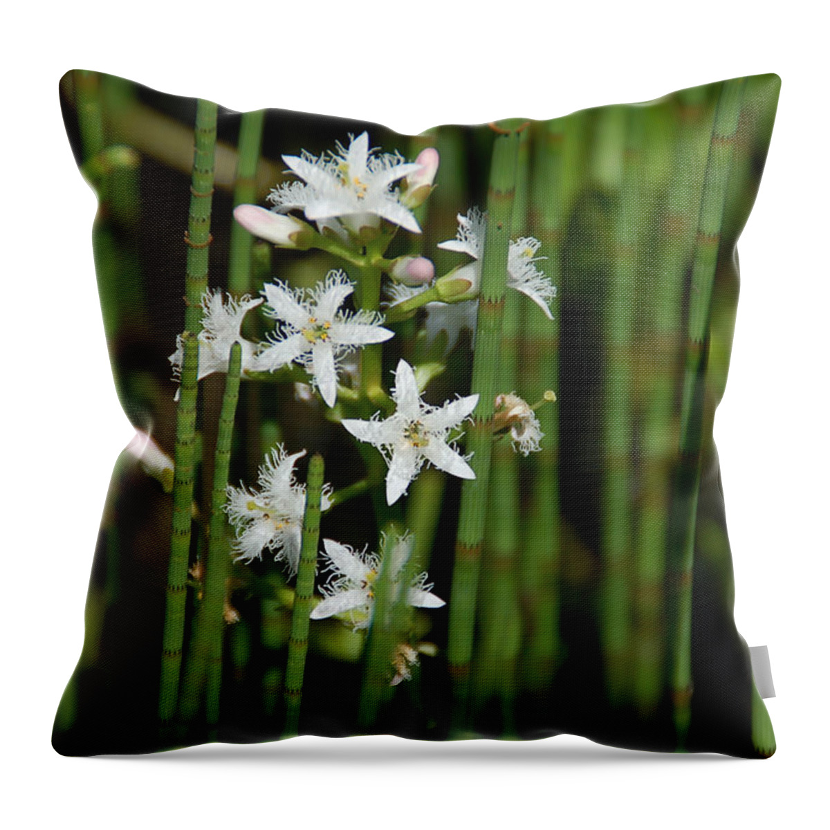 White Flowers Throw Pillow featuring the photograph Delicate #2 by Aimee L Maher ALM GALLERY