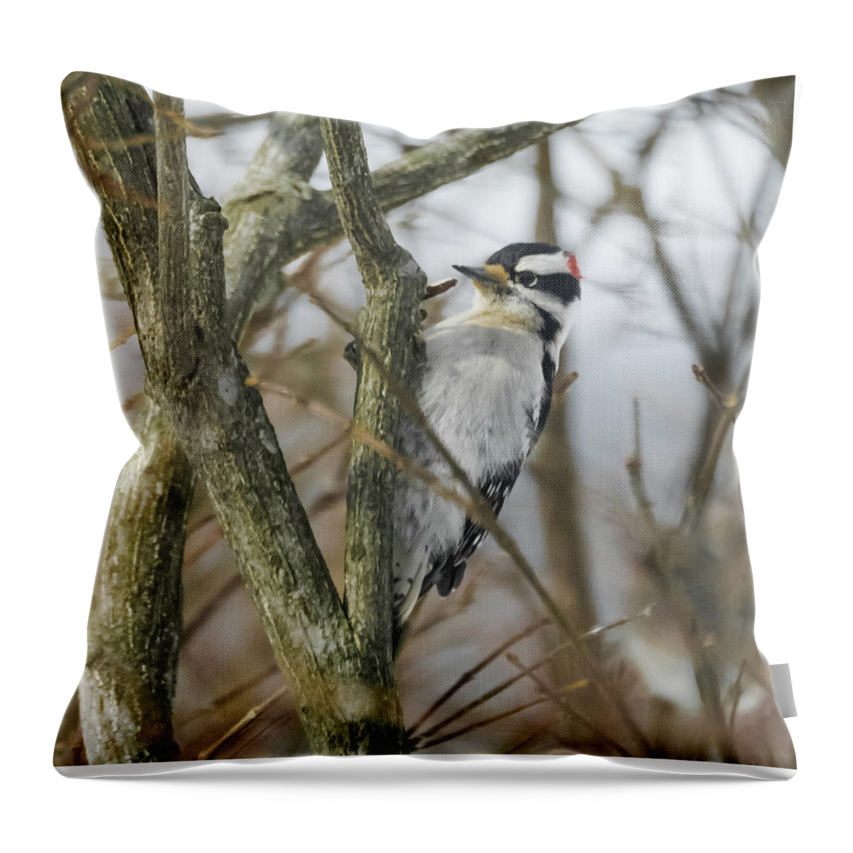 Woodpecker Throw Pillow featuring the photograph Downy Woodpecker #3 by Holden The Moment