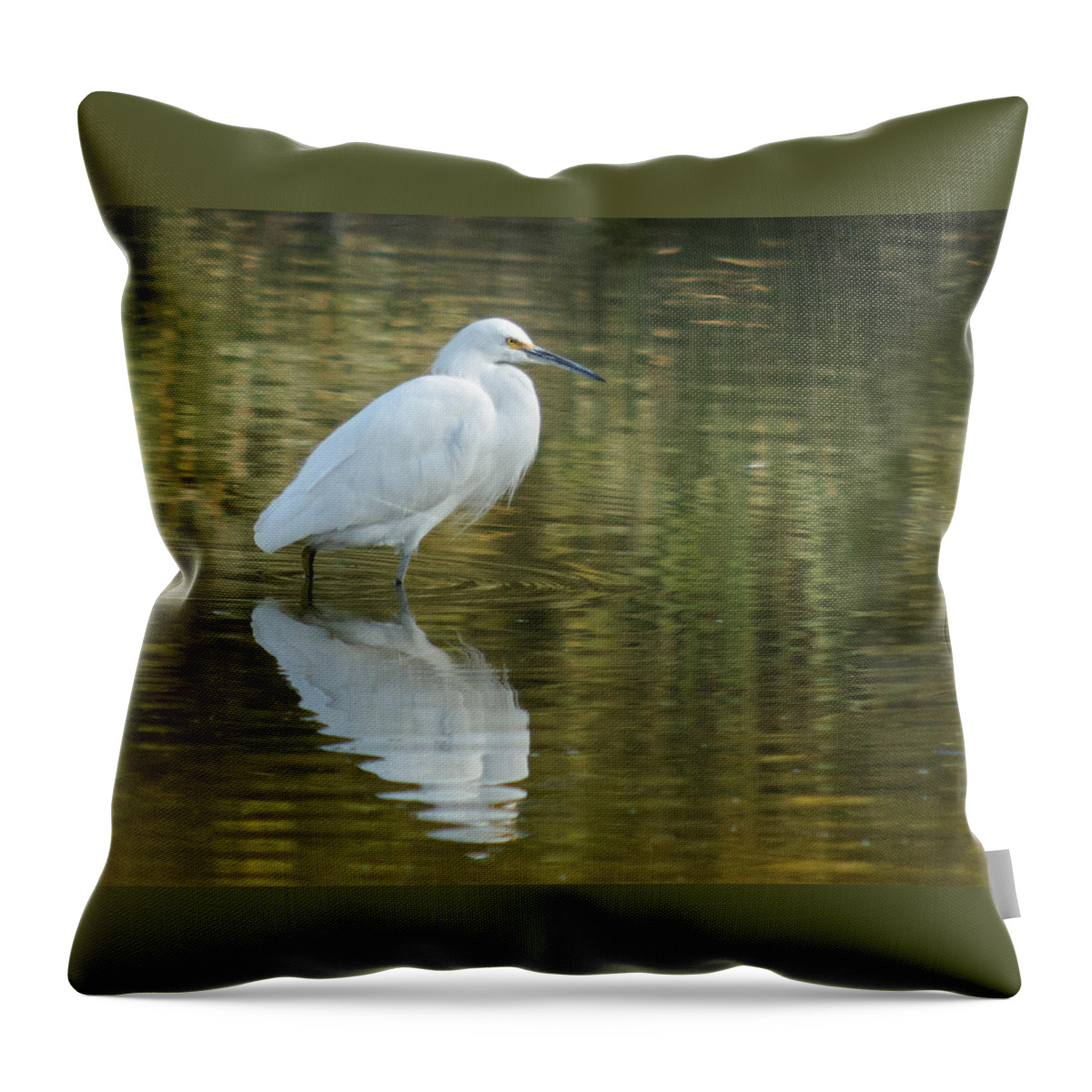 Egret Throw Pillow featuring the photograph Egret Reflection by Tam Ryan