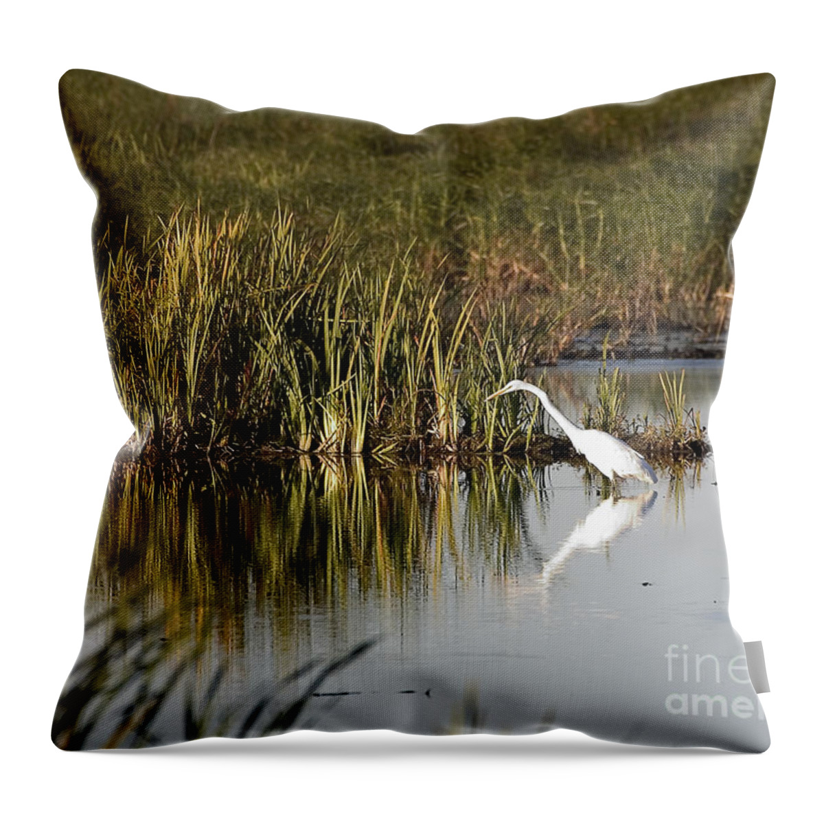 Birds Throw Pillow featuring the photograph Egret #2 by Steven Ralser