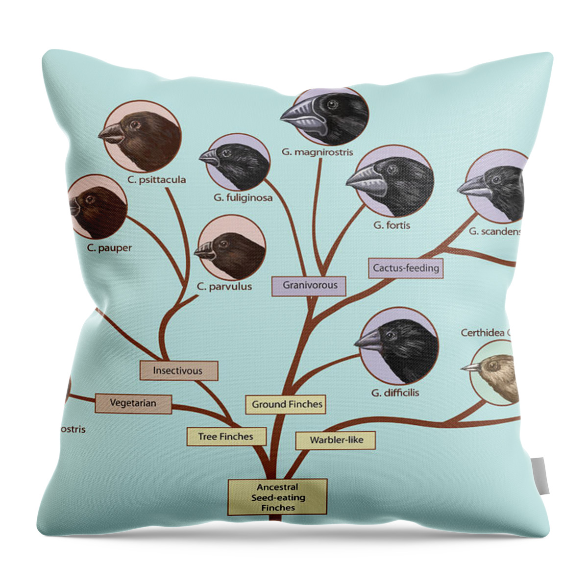 Nature Throw Pillow featuring the photograph Finch Family Tree, Illustration #3 by Spencer Sutton