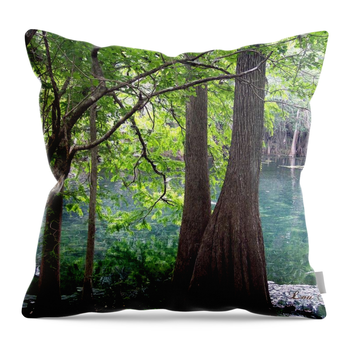 Old Florida Throw Pillow featuring the photograph Florida Springs #1 by Louis Ferreira