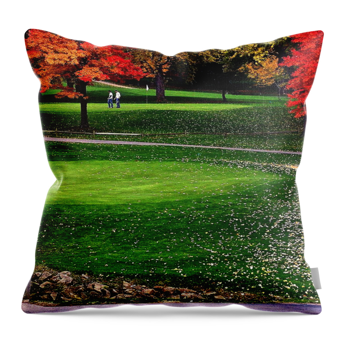 Friends Throw Pillow featuring the photograph Friends #2 by Frozen in Time Fine Art Photography