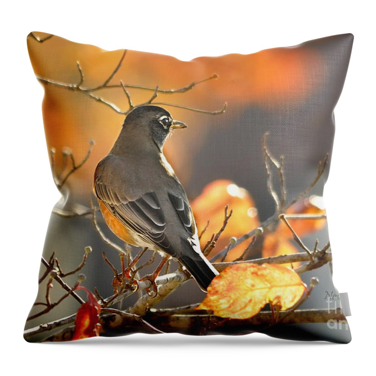 Nature Throw Pillow featuring the photograph Glowing Robin by Nava Thompson