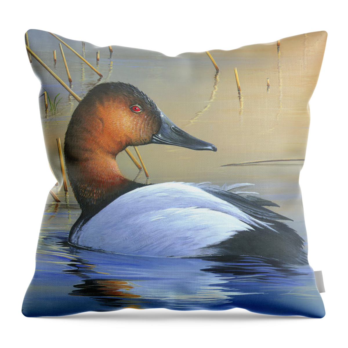 Canvasback Throw Pillow featuring the painting Golden Reflections by Mike Brown