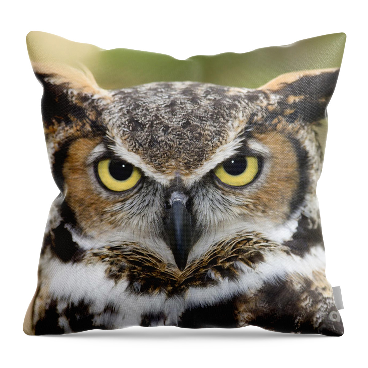 Great Horned Owls Throw Pillow featuring the photograph Great Horned Owl #4 by Jill Lang