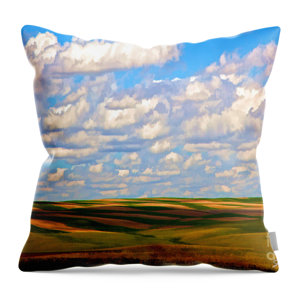 Great Plains Throw Pillow featuring the photograph Great Plains by John Douglas