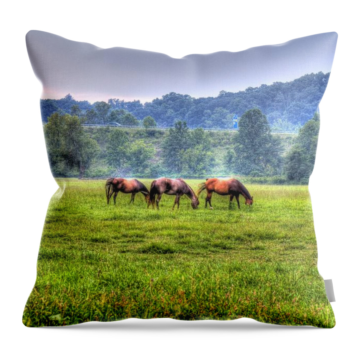 Horse Throw Pillow featuring the photograph Horses in a field #2 by Jonny D