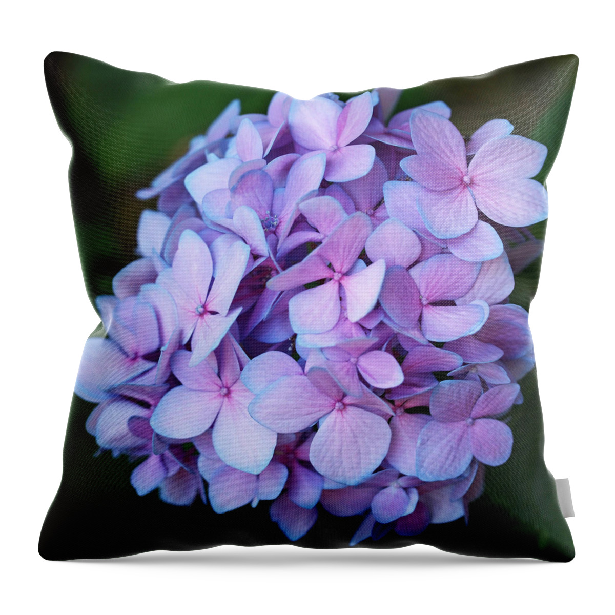 Hydrangea Throw Pillow featuring the photograph Hydrangea by Rona Black