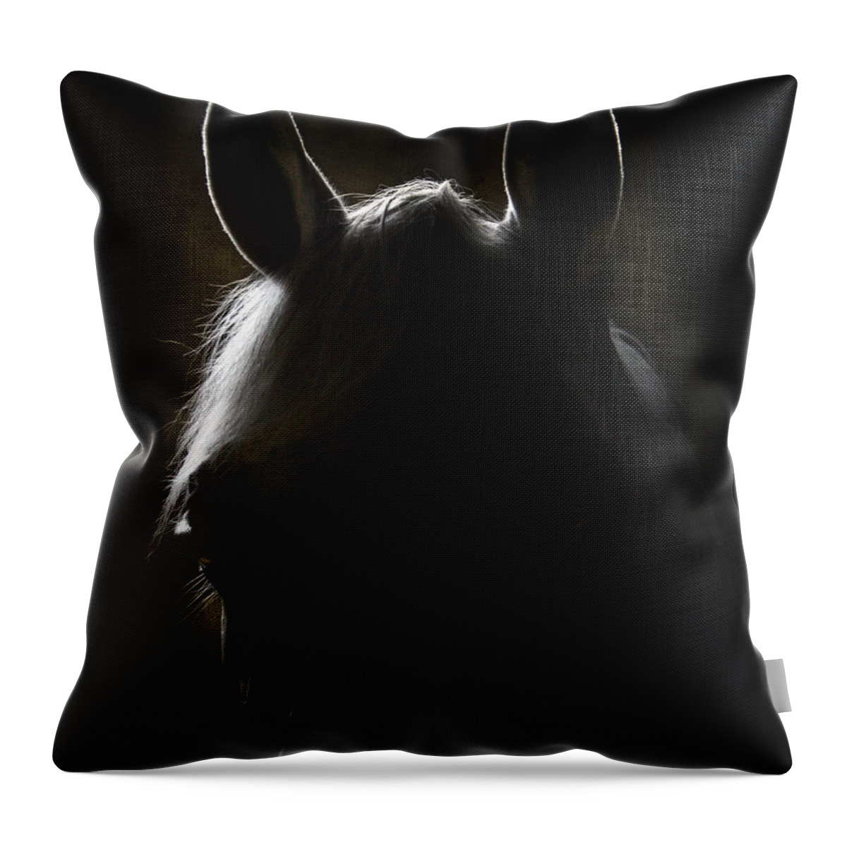 Horse Throw Pillow featuring the photograph In The Dark by Ang El