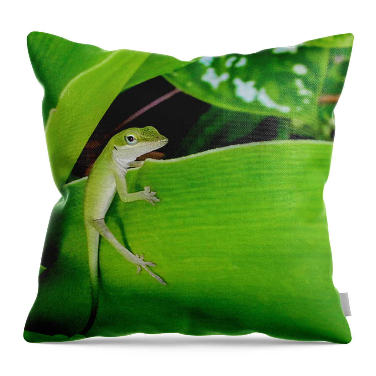 Lizard Throw Pillow featuring the photograph It's Easy Being Green #2 by TK Goforth