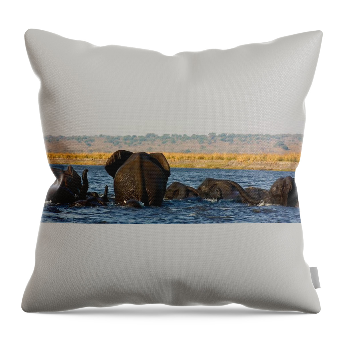 Elephants Throw Pillow featuring the photograph Kalahari Elephants Crossing Chobe River #1 by Amanda Stadther