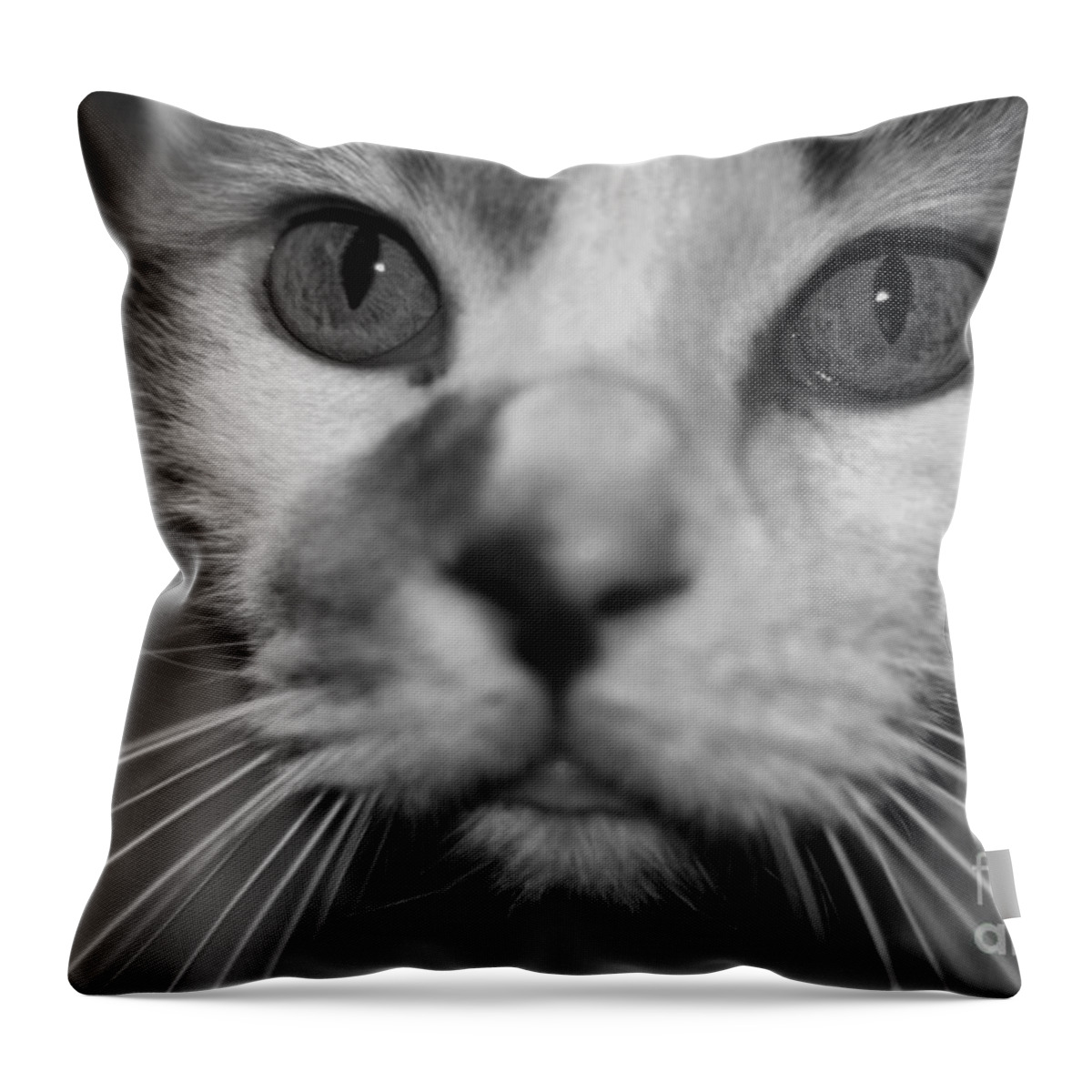 Close-up Throw Pillow featuring the photograph Look Into My Eyes #2 by Mark McReynolds