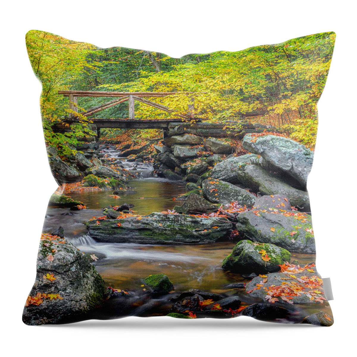 Bridge Throw Pillow featuring the photograph Macedonia Brook by Bill Wakeley