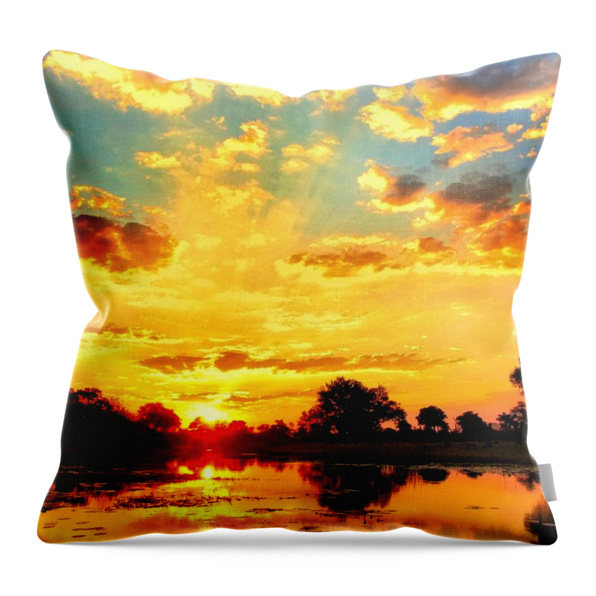 Okavango Swamp Throw Pillow featuring the photograph Okavango Delta Sunset #1 by Amanda Stadther