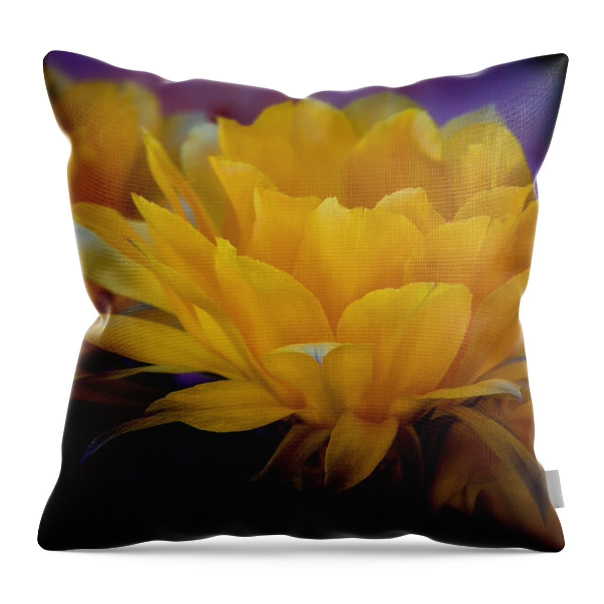 Orange Flower Throw Pillow featuring the photograph Orange Cactus Flowers #2 by Saija Lehtonen