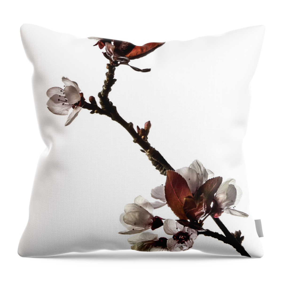 Flower Throw Pillow featuring the photograph Plum Flowers #2 by Endre Balogh