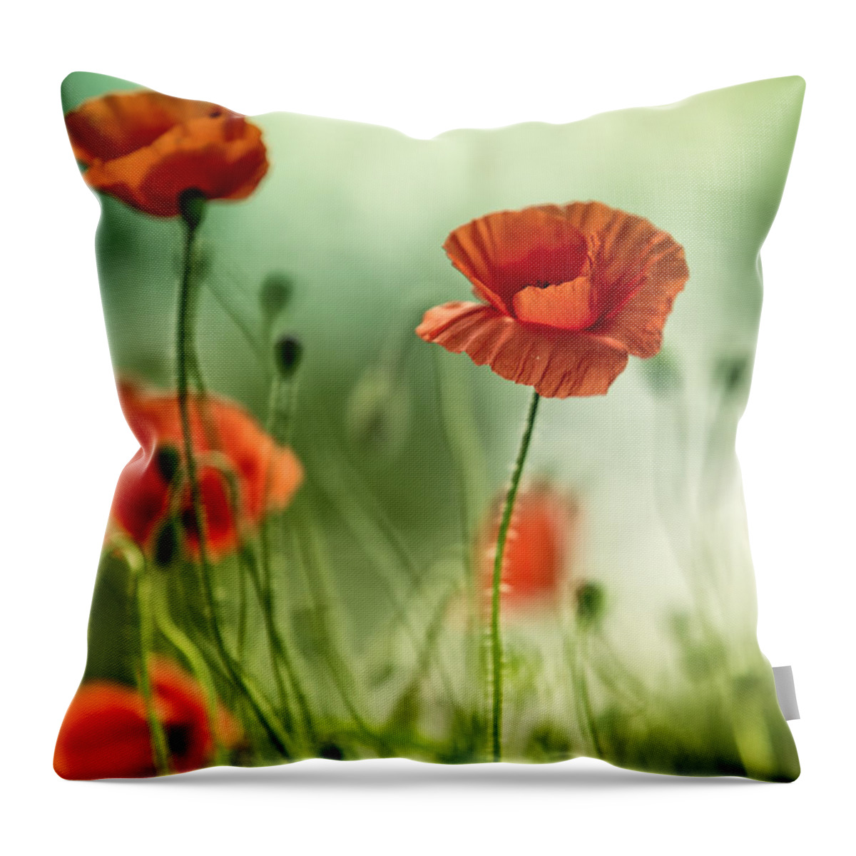 Poppy Throw Pillow featuring the photograph Poppy Meadow #2 by Nailia Schwarz