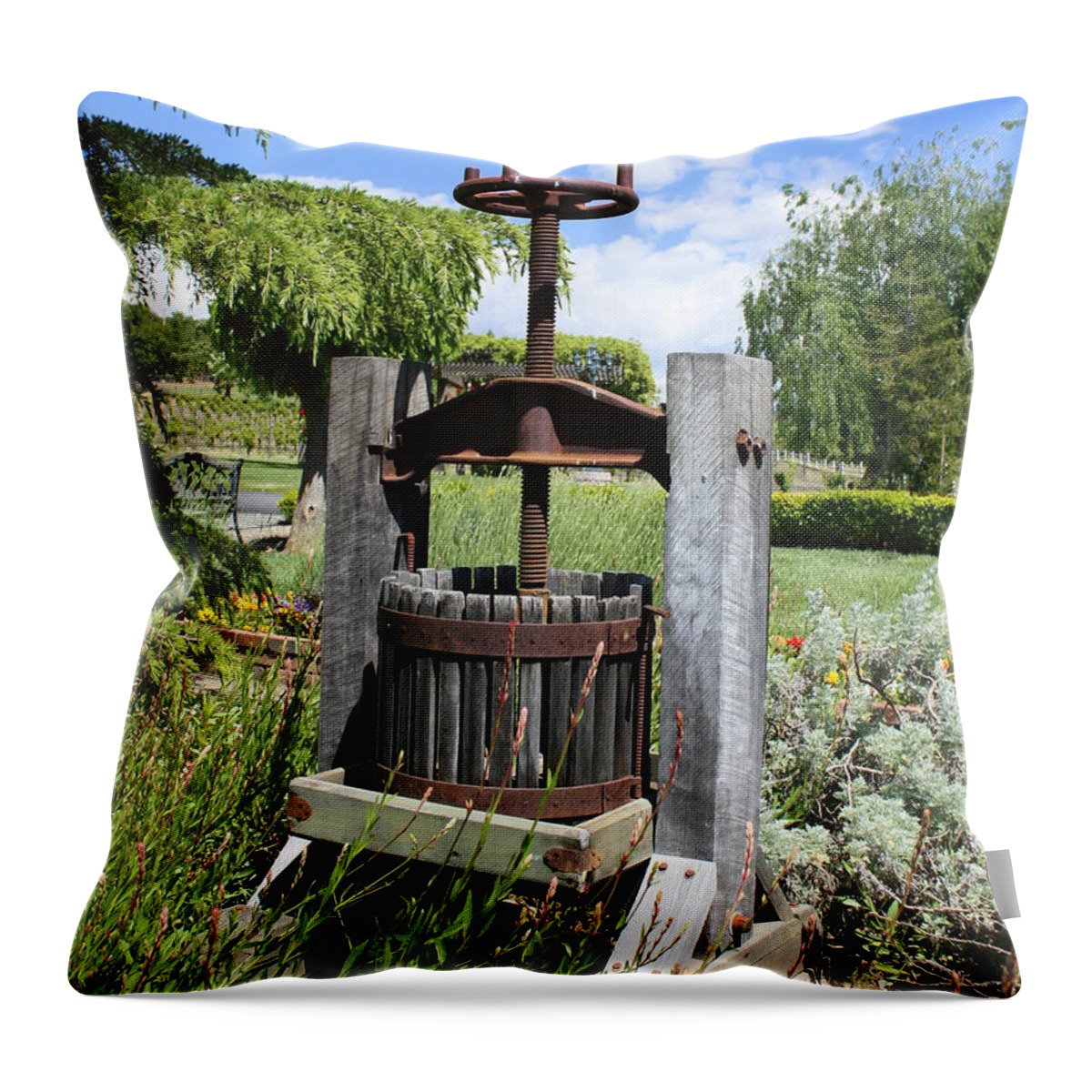 Make Grapes Whine Throw Pillow featuring the photograph Make Grapes Whine by Patrick Witz
