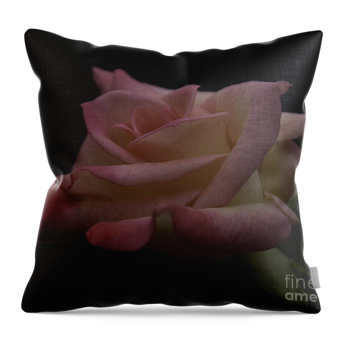 Rose Throw Pillow featuring the photograph Rose #2 by Ronald Grogan