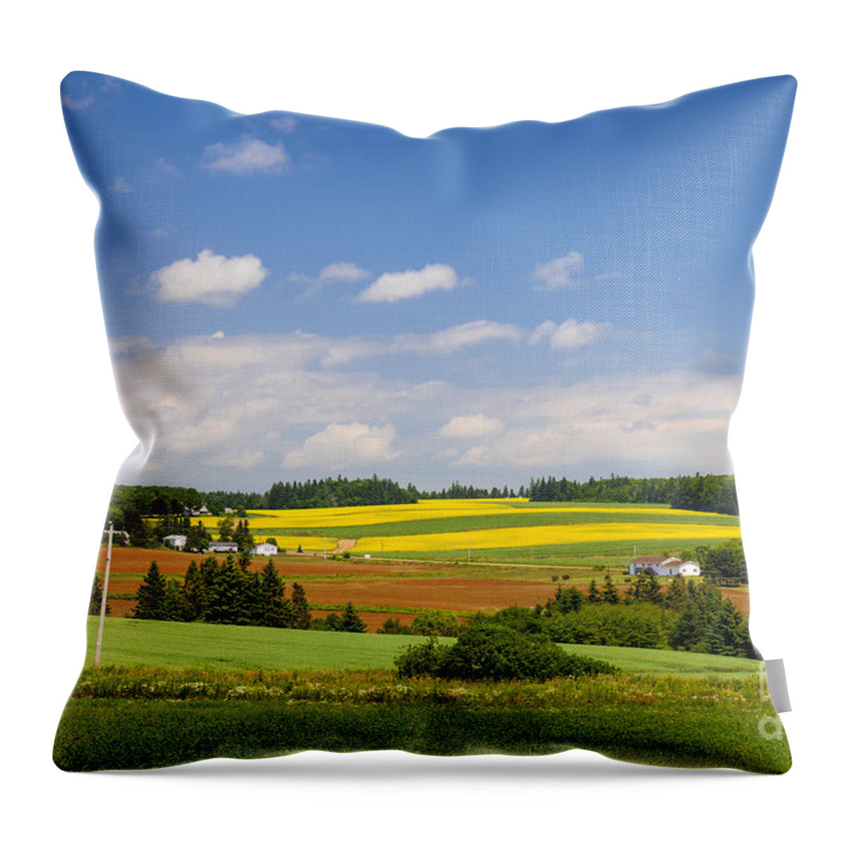 Pei Throw Pillow featuring the photograph Rural landscape 1 by Elena Elisseeva