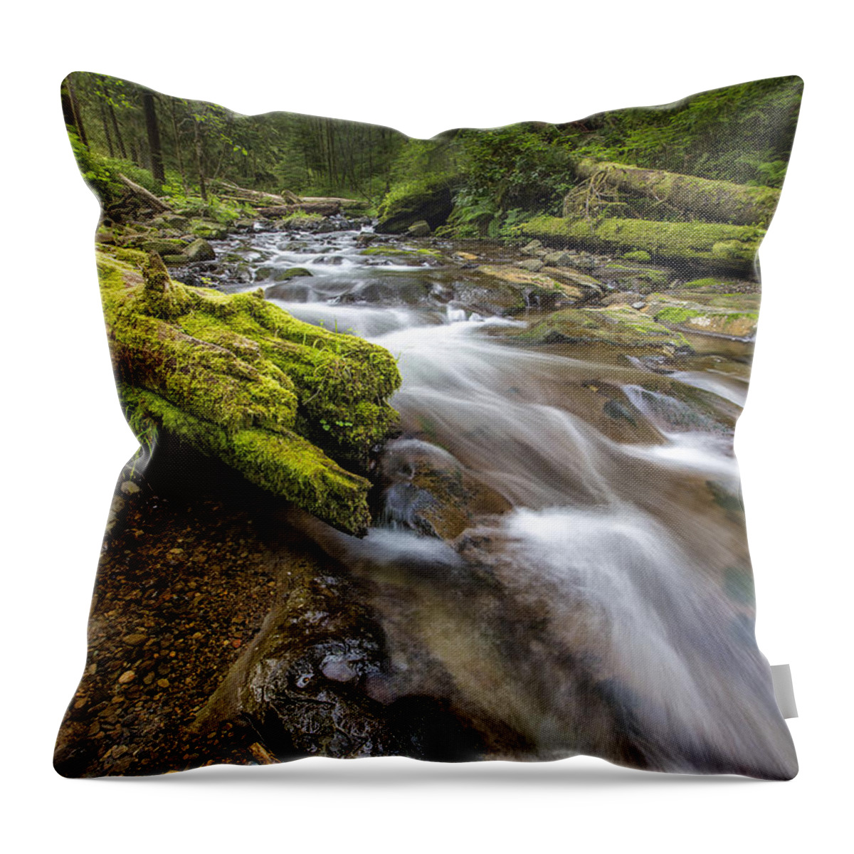 Horizontal Throw Pillow featuring the photograph Rush Rush by Jon Glaser