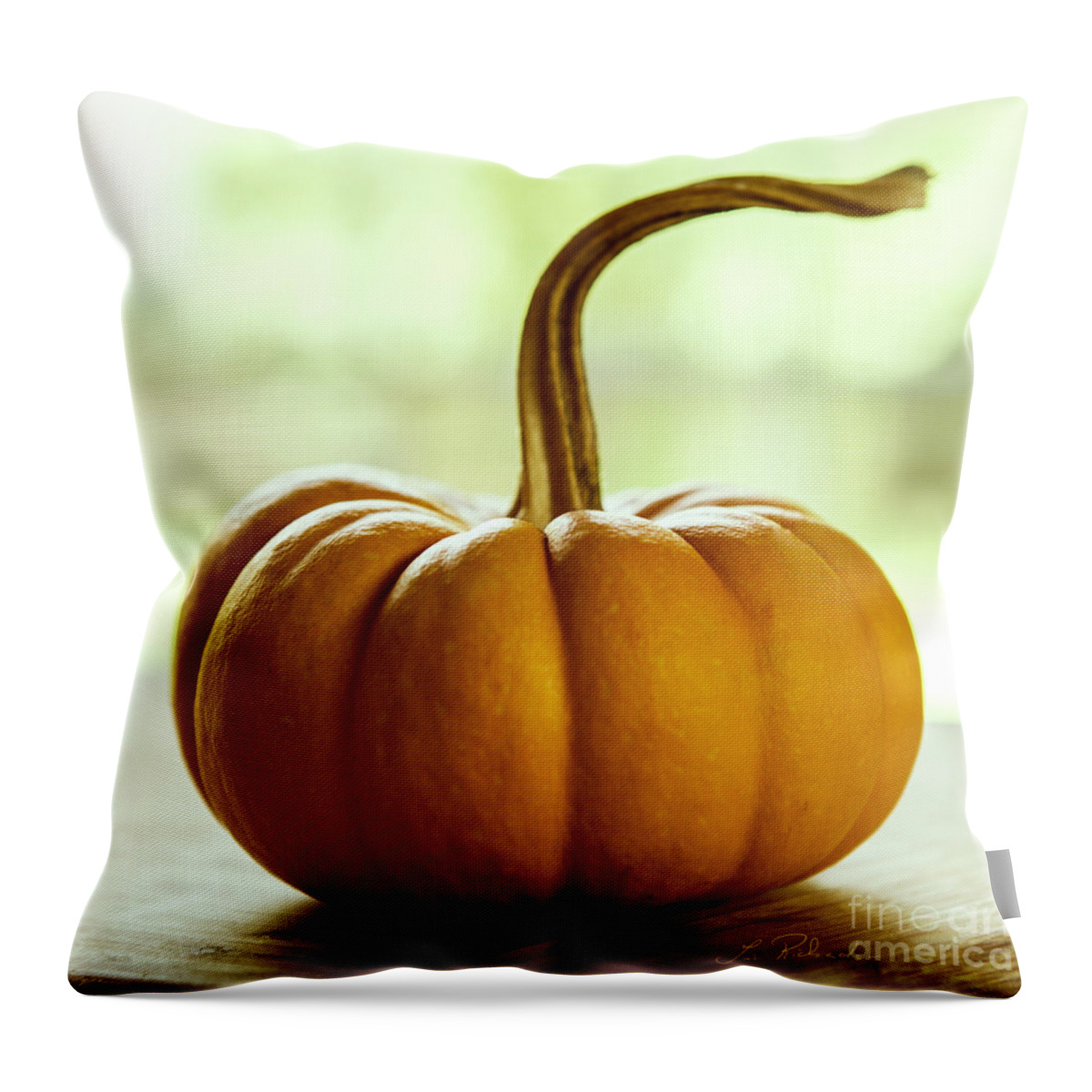 Pumpkin Throw Pillow featuring the photograph Small Orange Pumpkin #1 by Iris Richardson