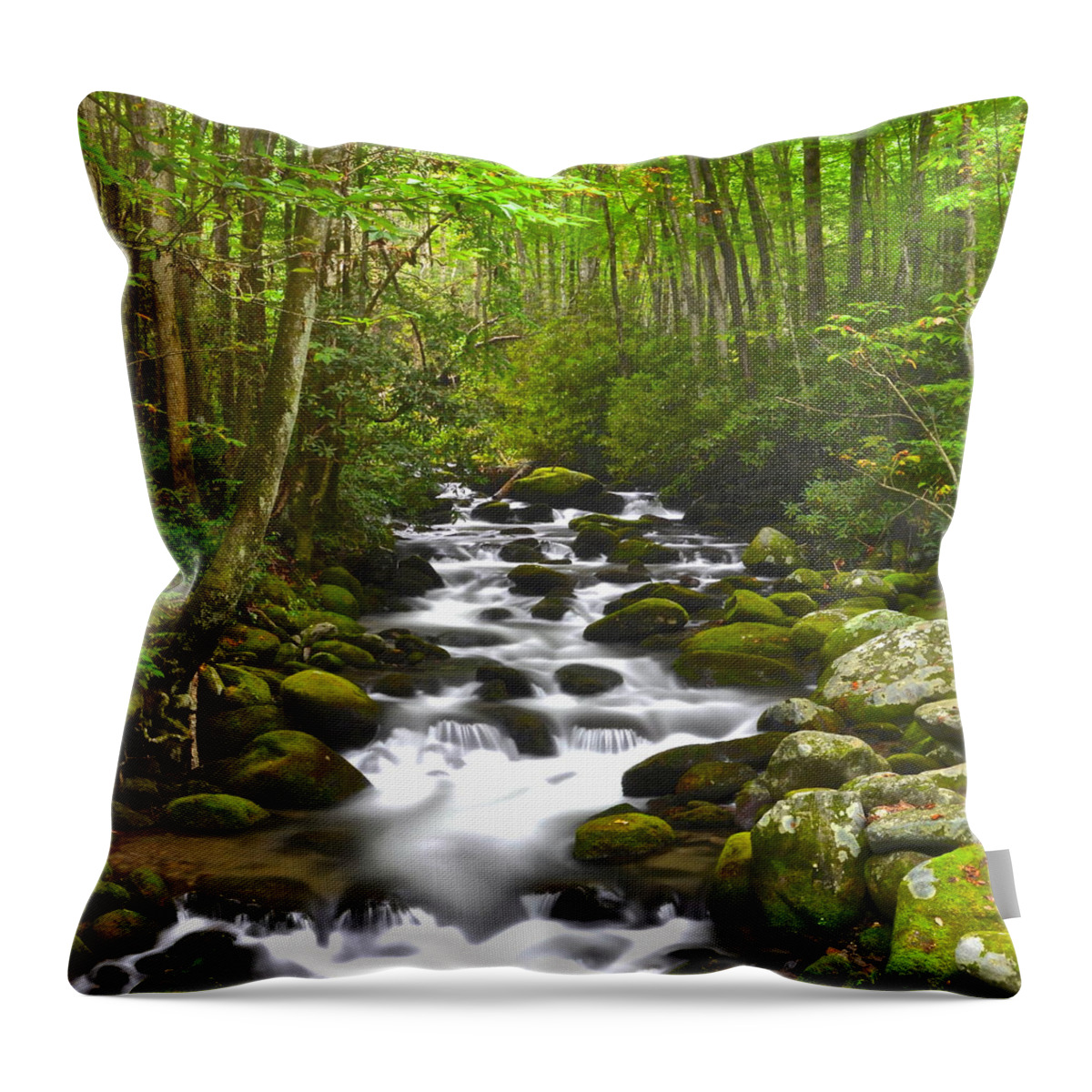 Square Throw Pillow featuring the photograph Smoky Mountain Stream #2 by Frozen in Time Fine Art Photography