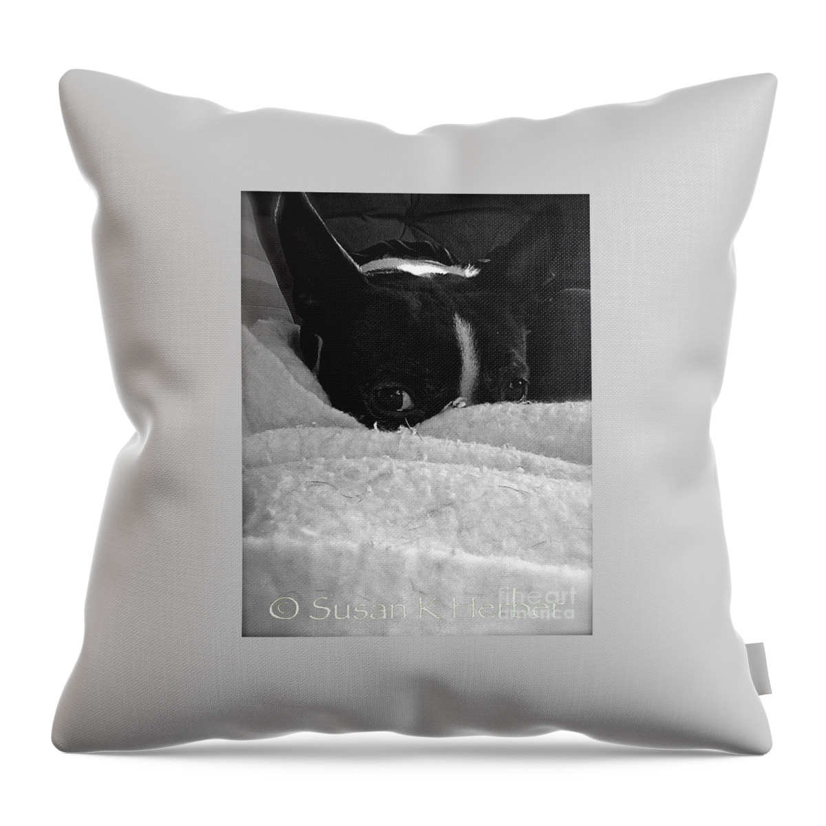 Dog Throw Pillow featuring the photograph Snuggler #2 by Susan Herber