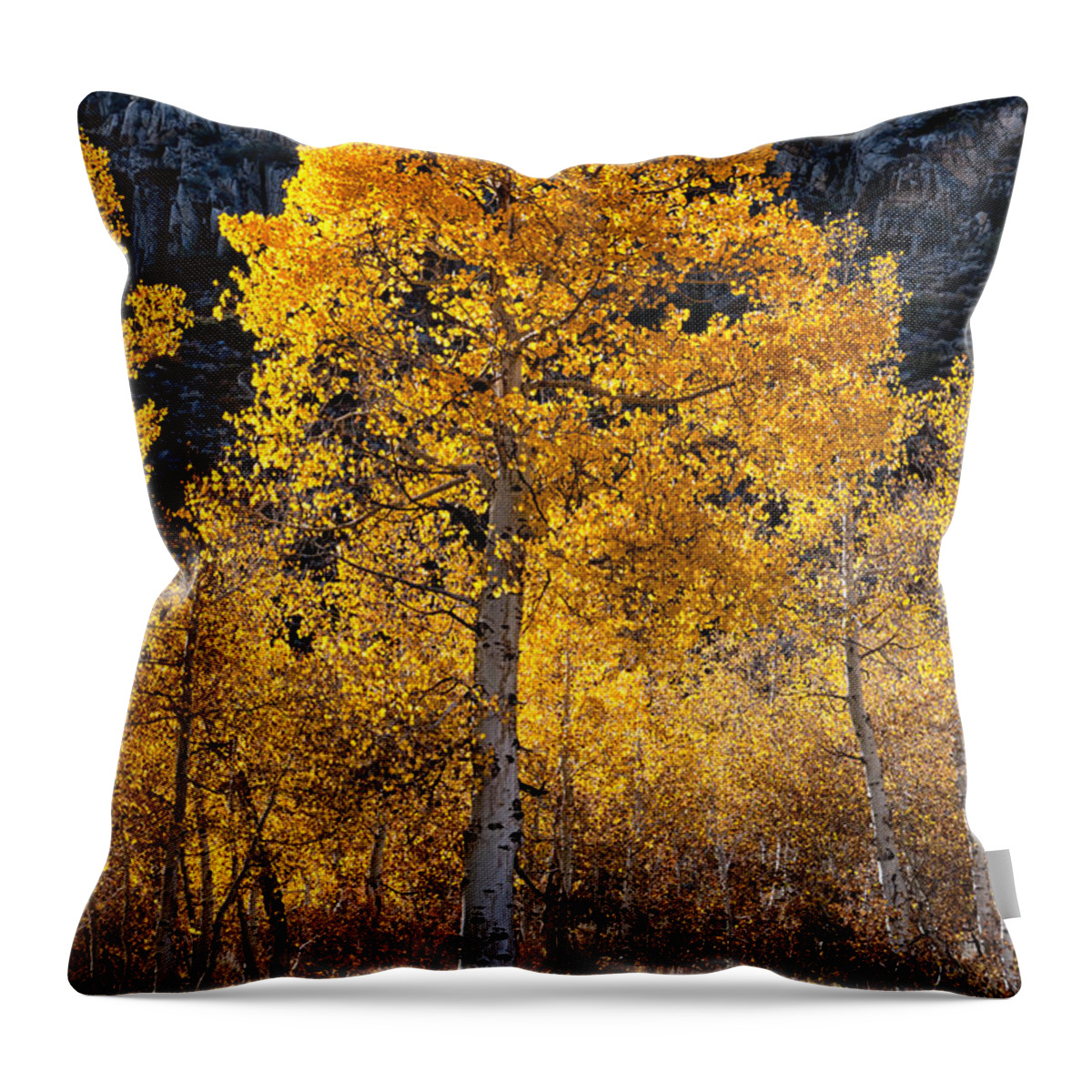 Landscape Throw Pillow featuring the photograph Stand Alone #2 by Cat Connor