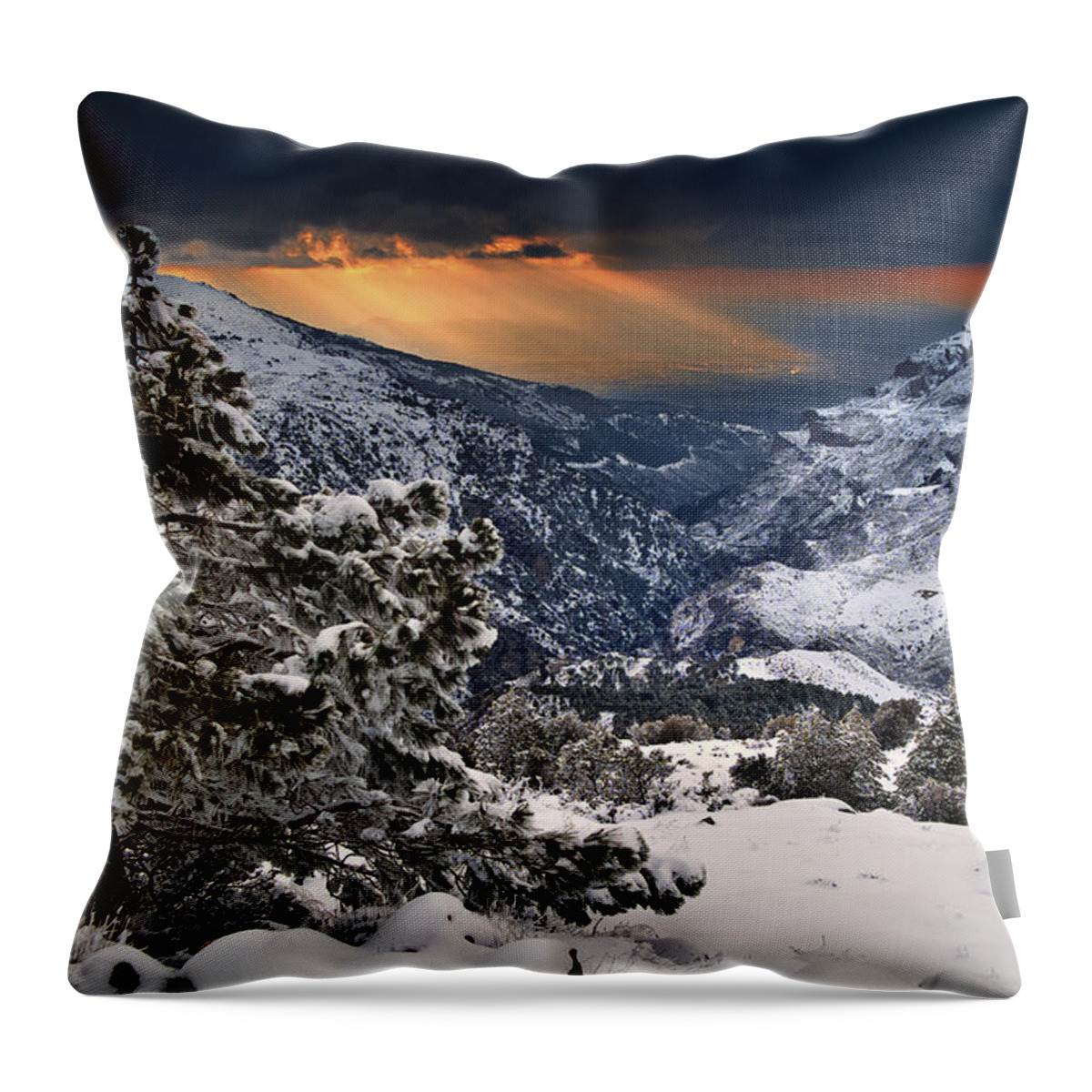 Sun Throw Pillow featuring the photograph Sun rays #2 by Guido Montanes Castillo
