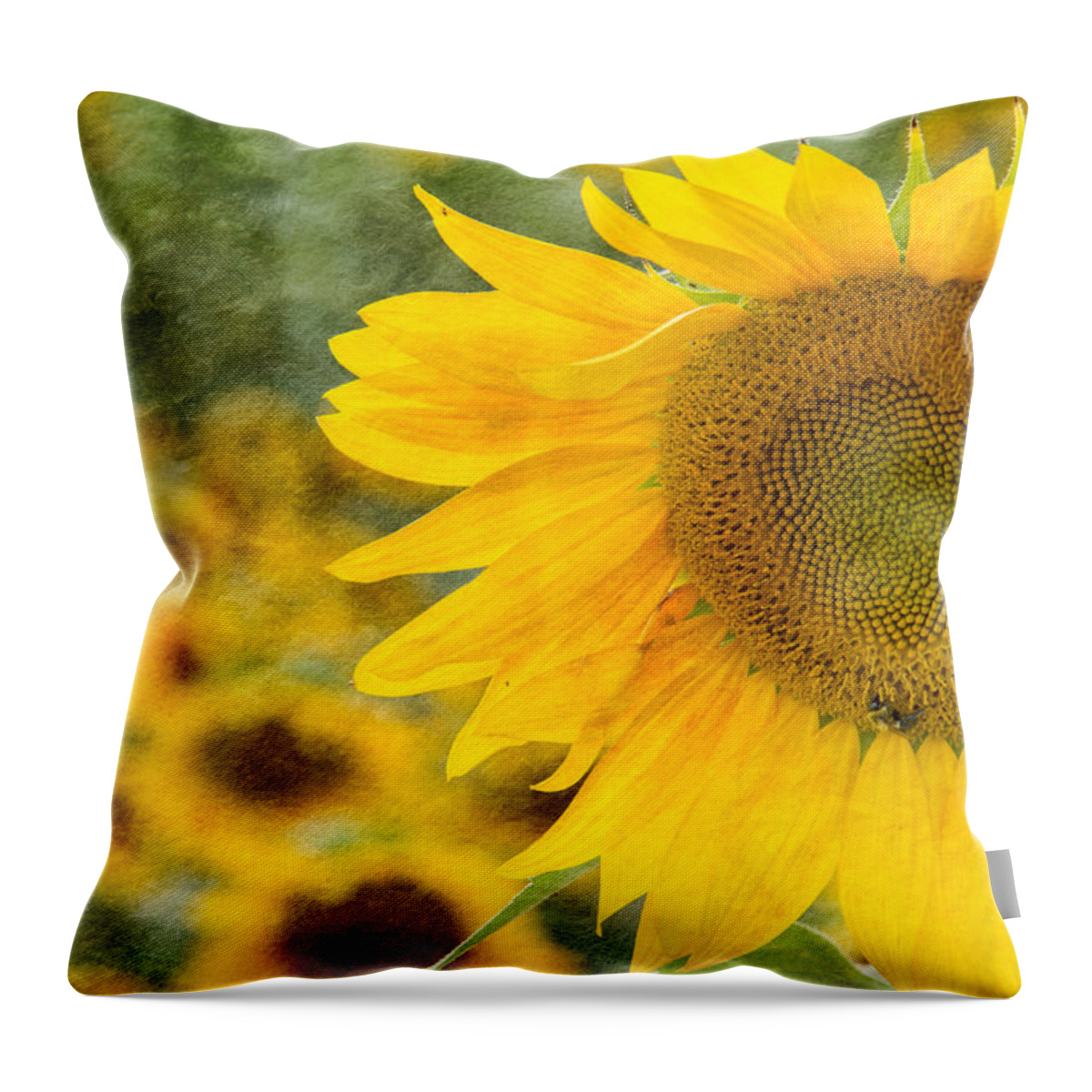 Landscape Throw Pillow featuring the photograph Sunflower #2 by Joye Ardyn Durham