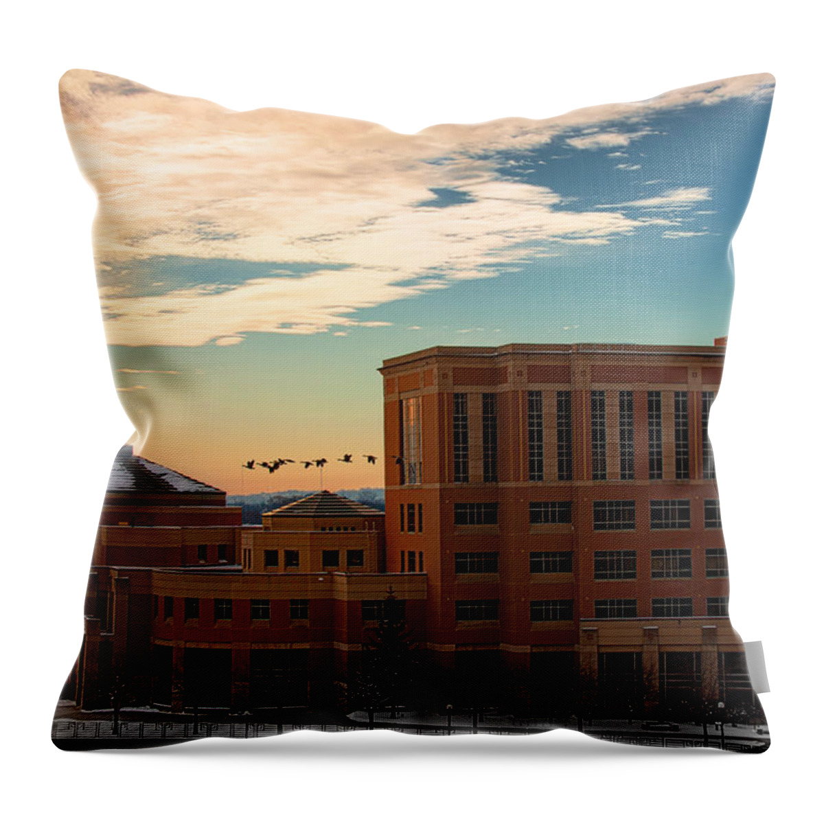 Rochester Minnesota Geese Goose Bird Fowl Water Waterfowl Winter Snow Orange Red Yellow Blue White Sky Winter Scenic City Architecture Fly Flight Cloud Sun Sunrise Photographs Throw Pillow featuring the photograph Sunrise Flyby #2 by Tom Gort