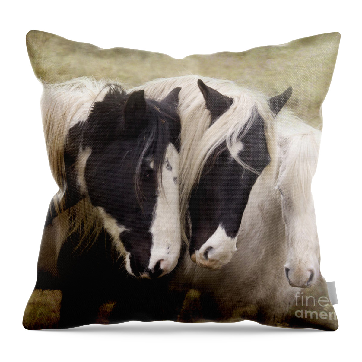 Horse Throw Pillow featuring the photograph Three Amigos #2 by Ang El