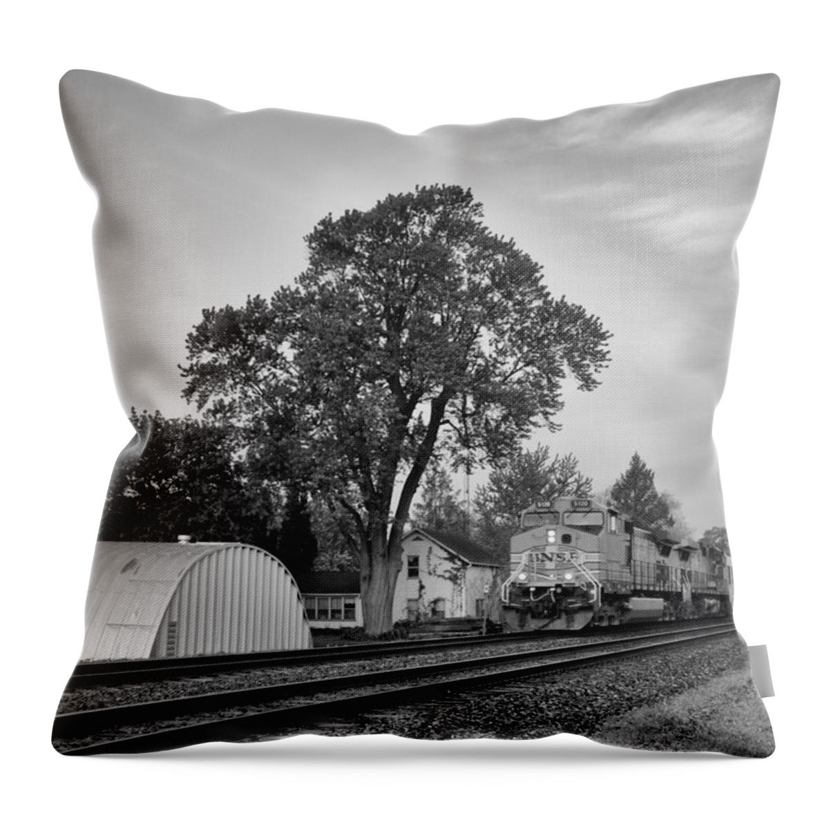 Trains Throw Pillow featuring the photograph Train Of Thought #2 by Tom Druin