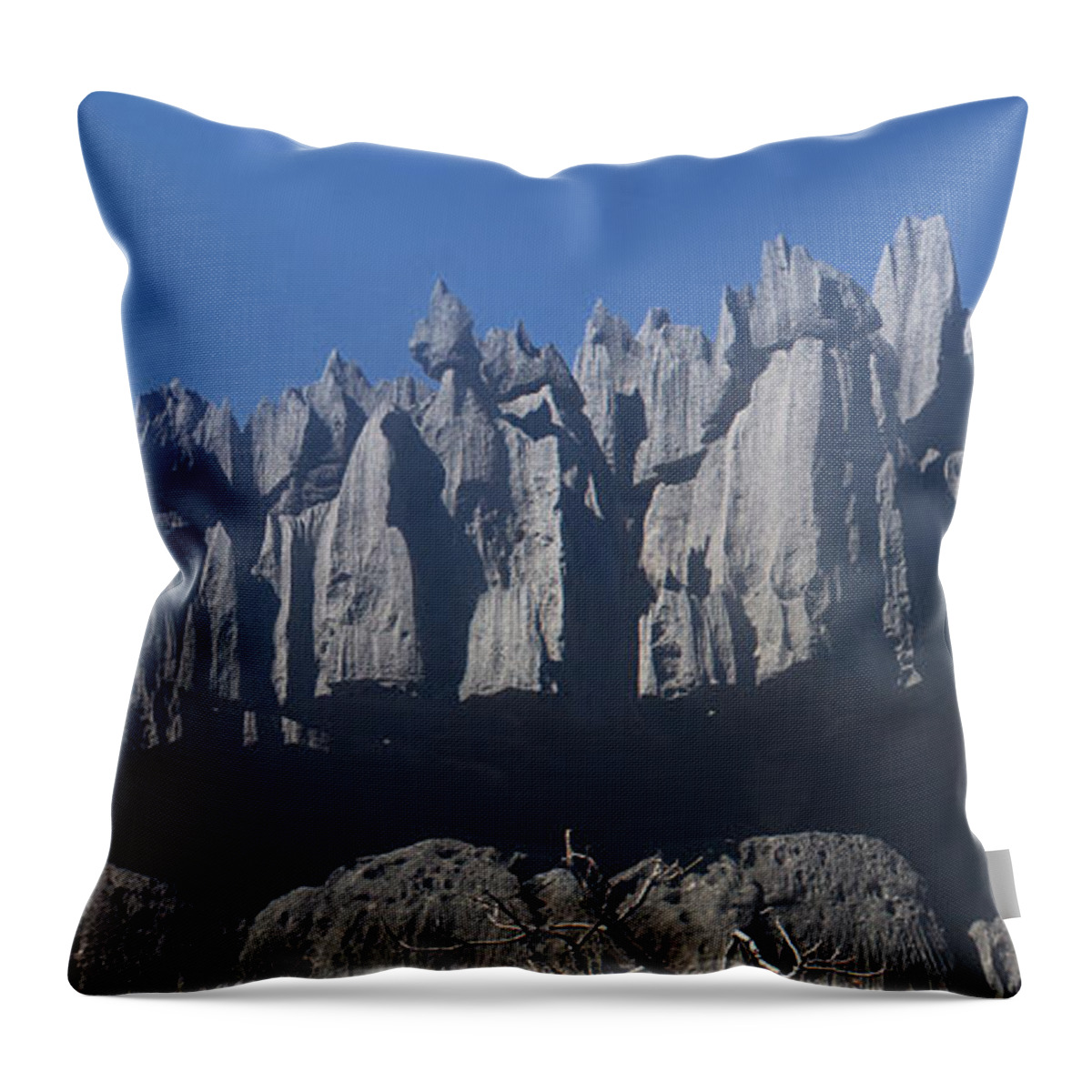 Prott Throw Pillow featuring the photograph Tsingy de Bemaraha Madagascar by Rudi Prott