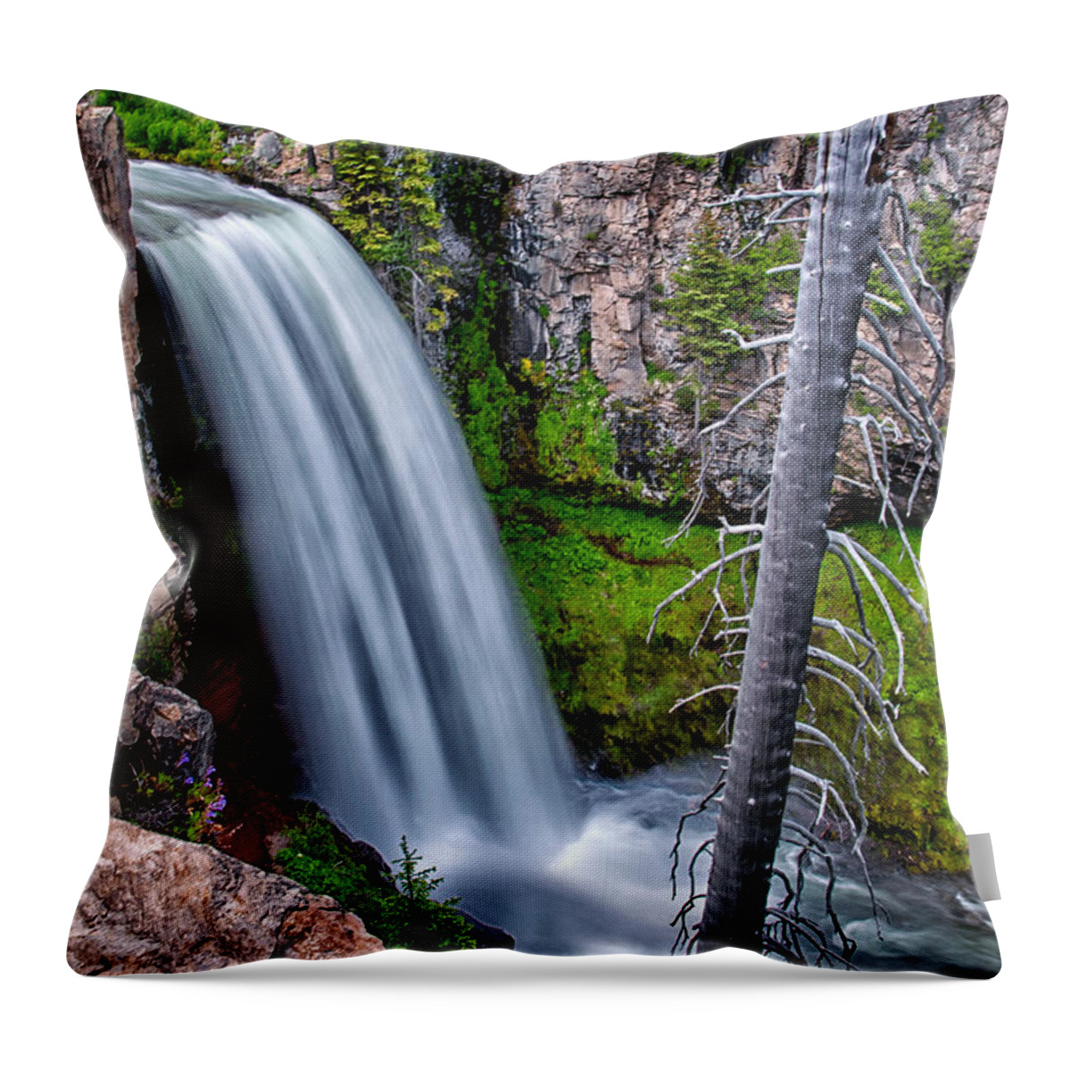 Water Throw Pillow featuring the photograph Tumalo Falls #2 by Cat Connor
