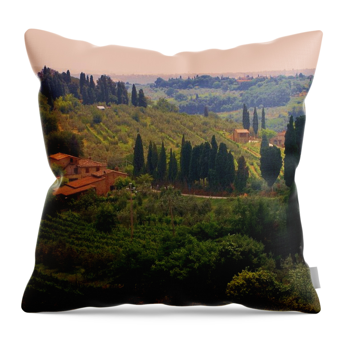 Florence Throw Pillow featuring the photograph Tuscan Landscape #2 by Dany Lison