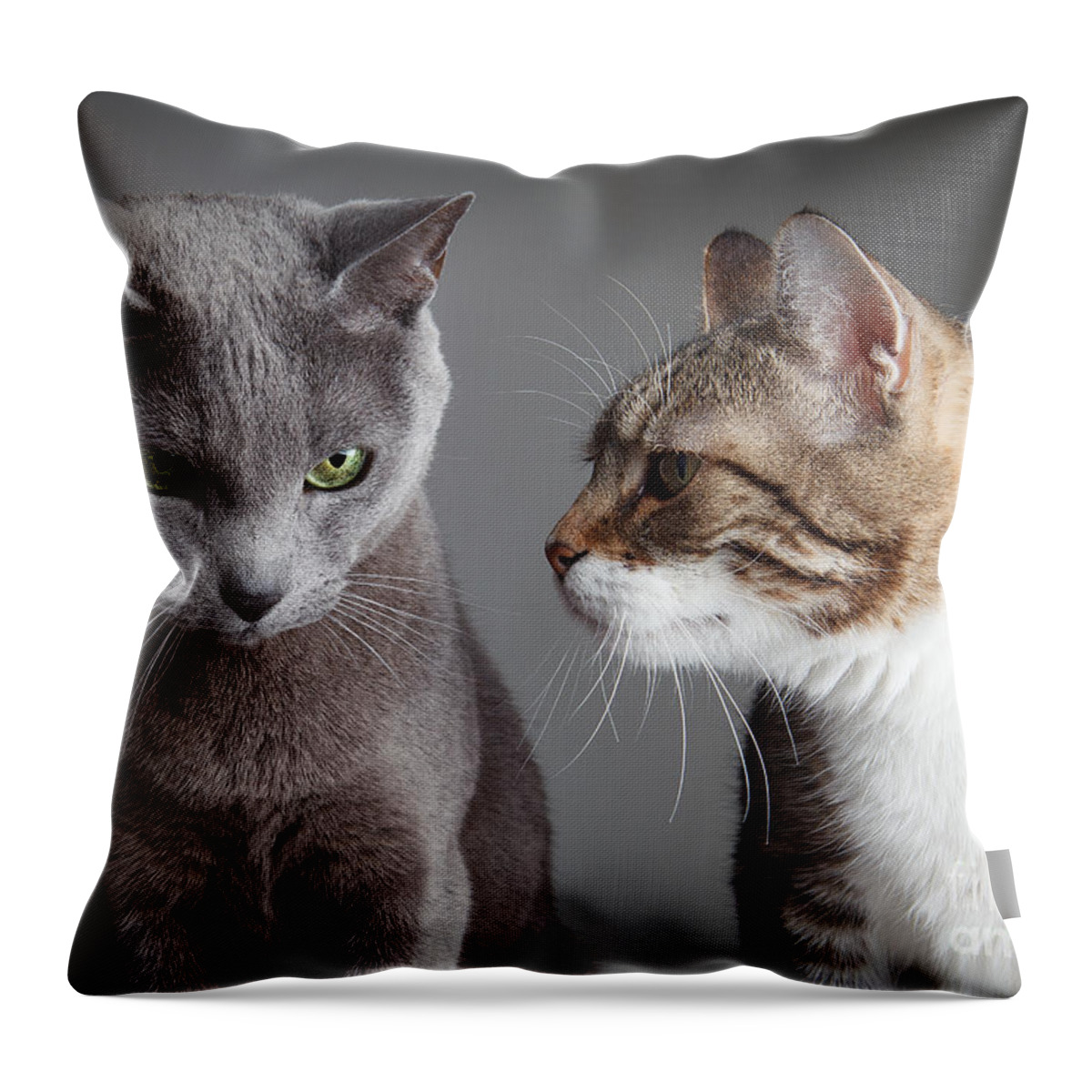 Cat Throw Pillow featuring the photograph Two Cats #2 by Nailia Schwarz