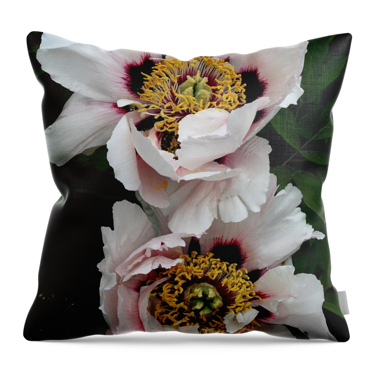White Peony Throw Pillow featuring the photograph Two Together by Christiane Schulze Art And Photography