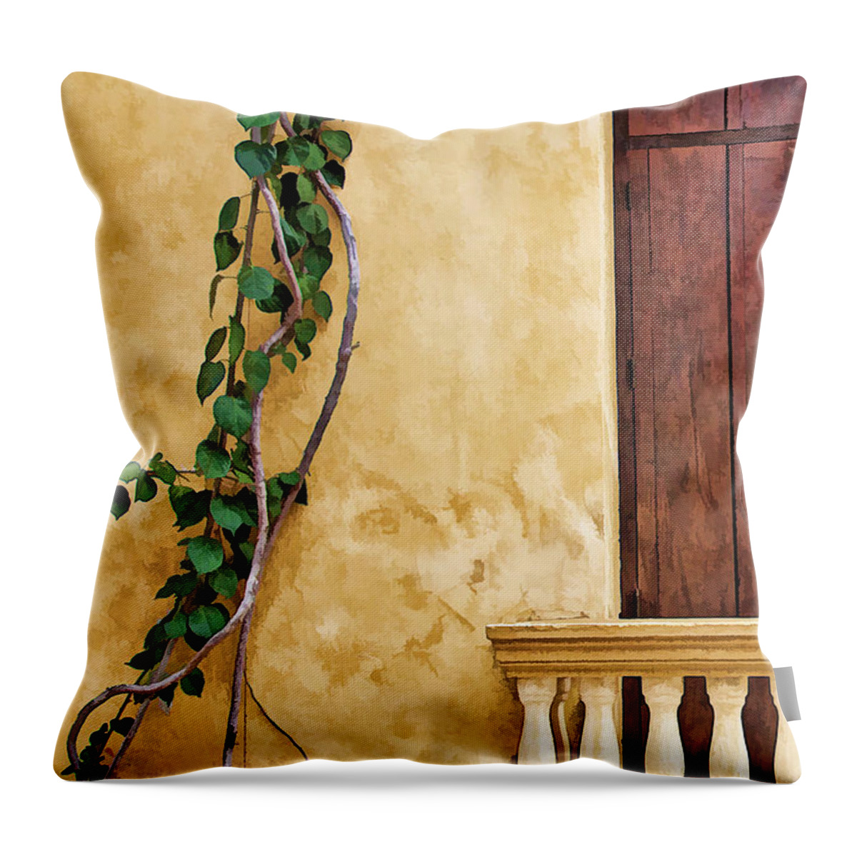 Architecture Throw Pillow featuring the photograph Vine on Wall by Maria Coulson