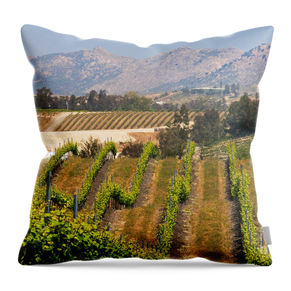 Vineyard Throw Pillow featuring the photograph Vineyard #2 by Richard and Ellen Thane