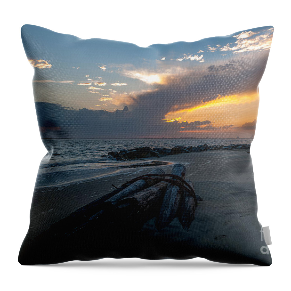 Washed Ahore Throw Pillow featuring the photograph Washed Ashore by Dale Powell