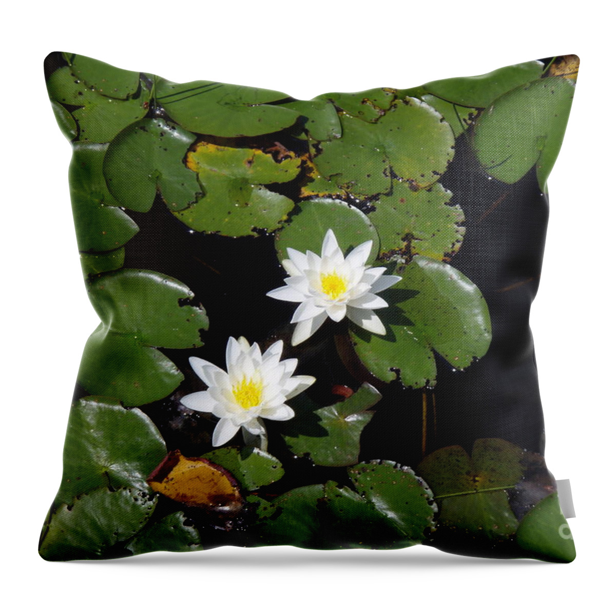 Nature Throw Pillow featuring the photograph 2 Water Lily by Robert Nickologianis