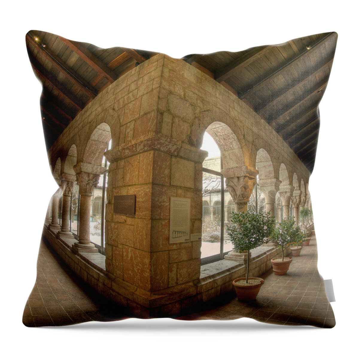 Stone Throw Pillow featuring the photograph Which Way #2 by Roni Chastain