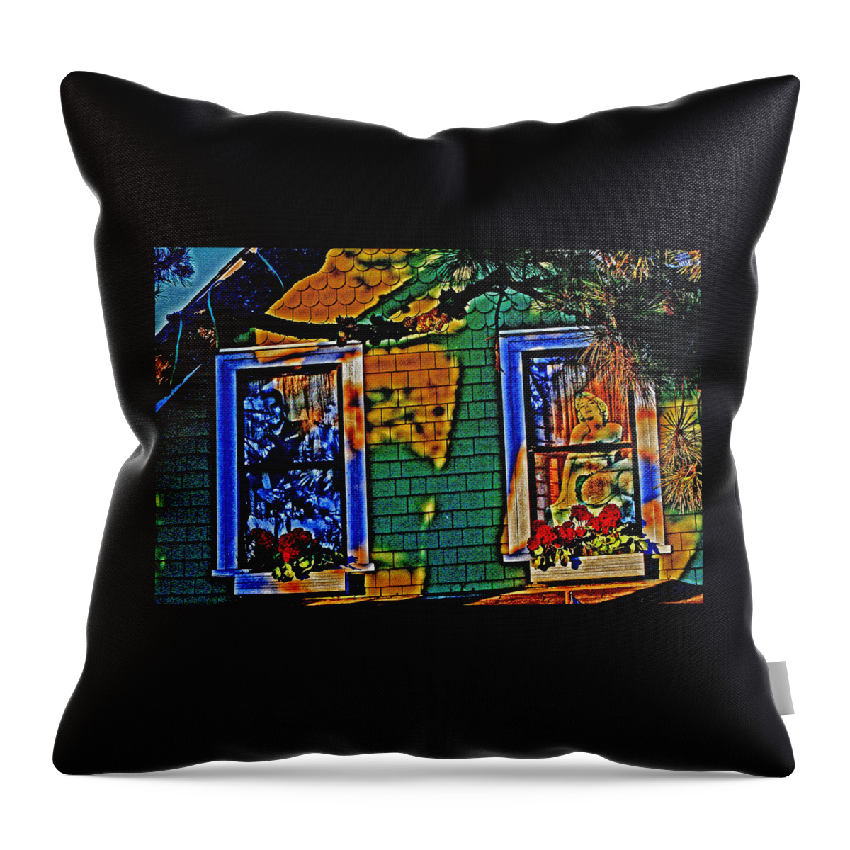 Elvis Presley Throw Pillow featuring the photograph 2 Windows 1 Heart by Joseph Coulombe