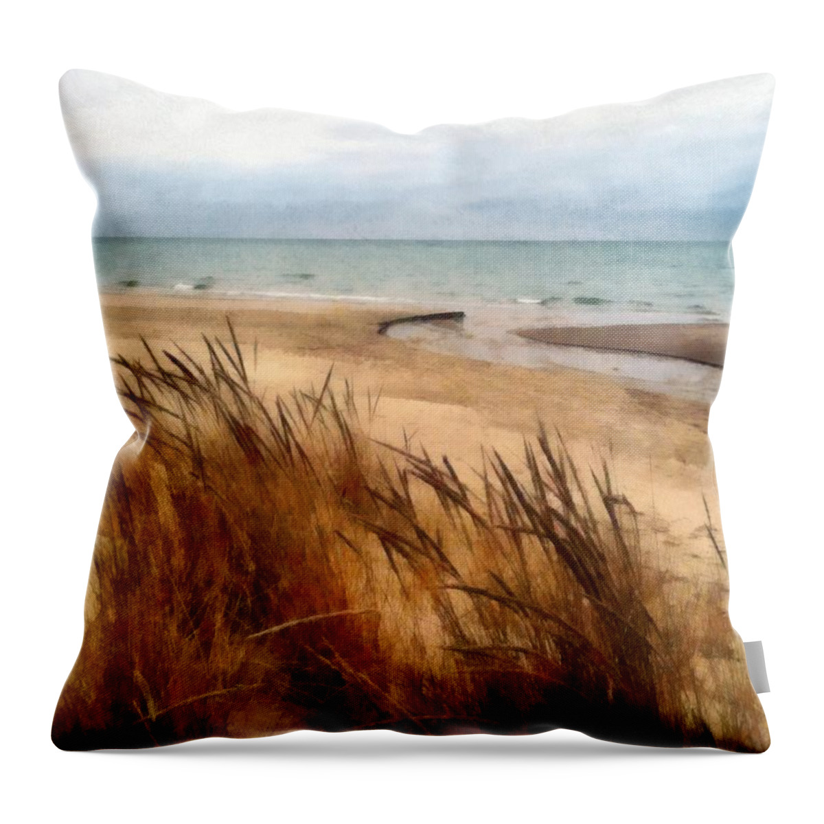 Lake Michigan Throw Pillow featuring the photograph Winter Beach at Pier Cove ll #2 by Michelle Calkins