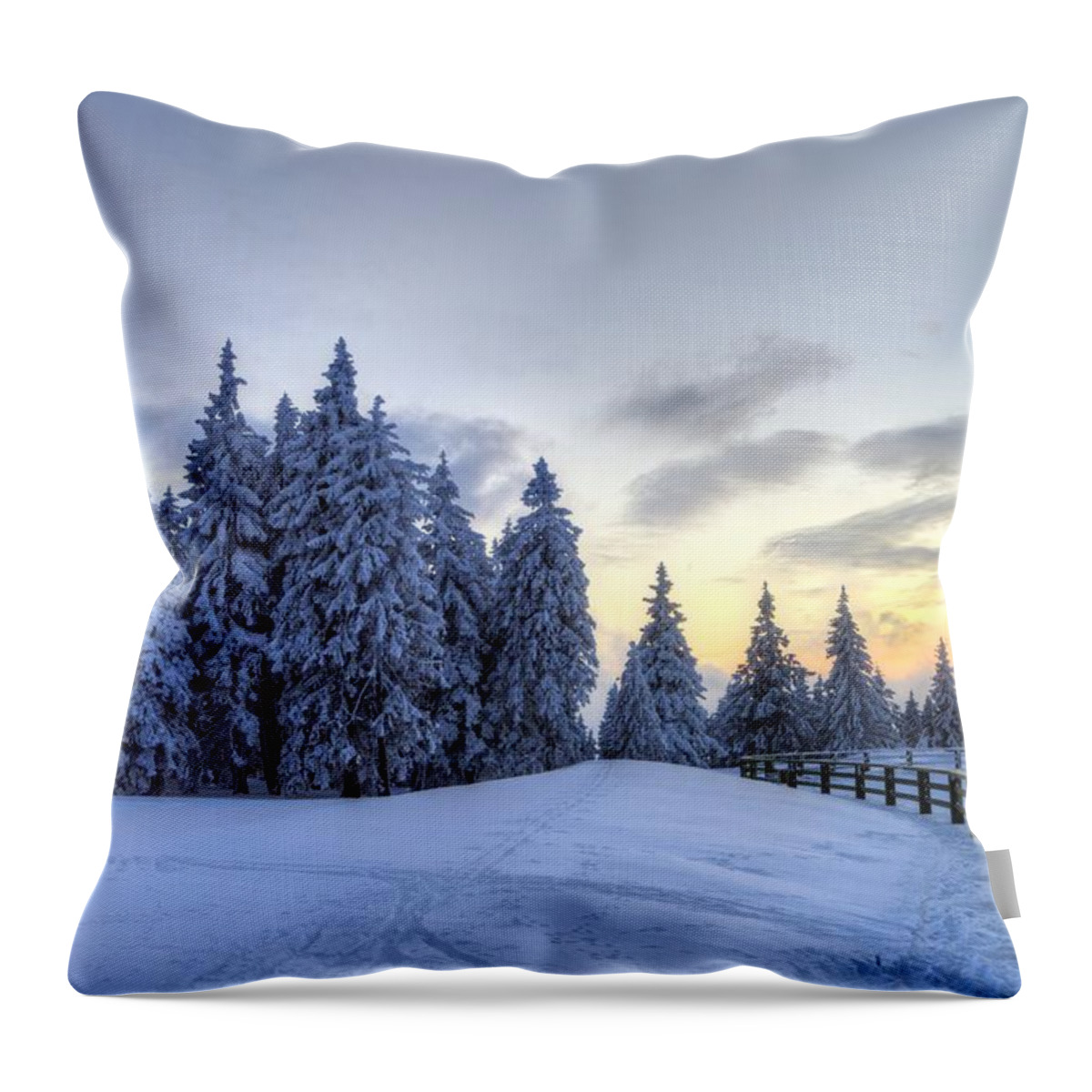  Throw Pillow featuring the photograph Winter #2 by Ivan Slosar