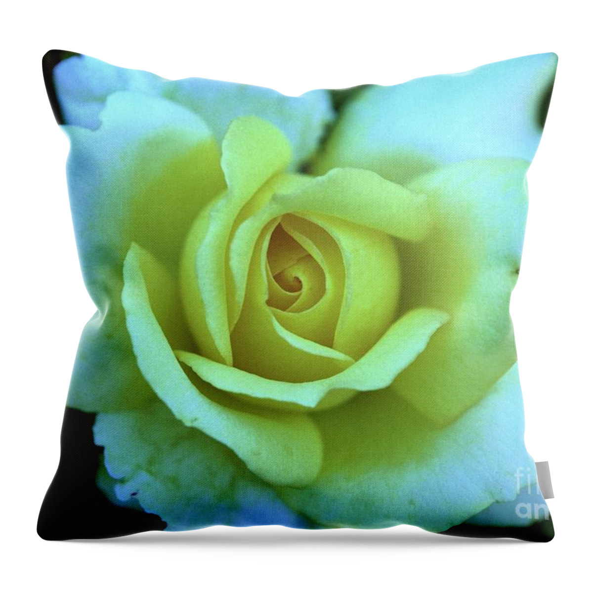 Yellow Rose Throw Pillow featuring the photograph Yellow Rose by Allen Beatty